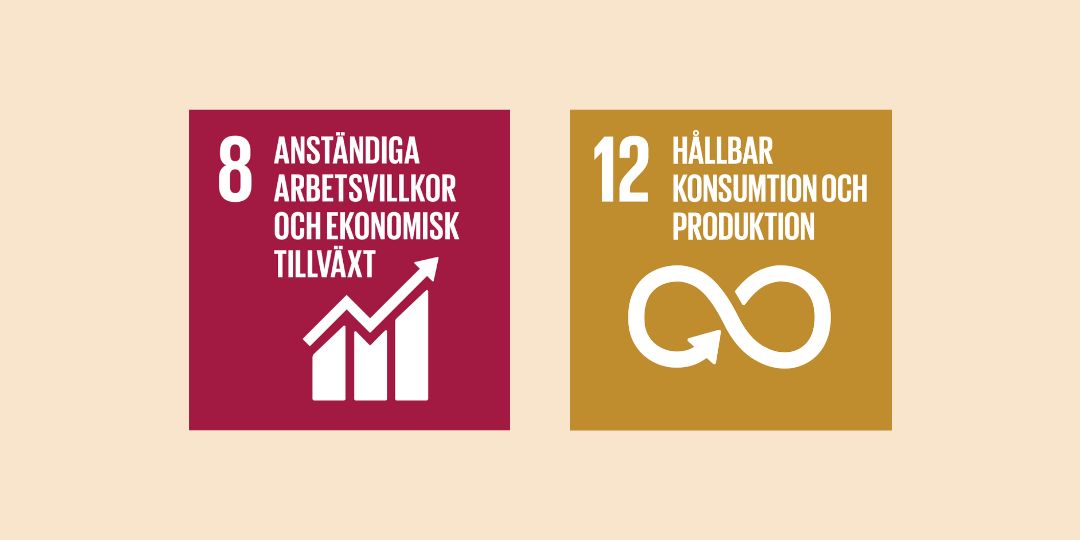 Objective 12 and Objective 8 are shown together on a light background.